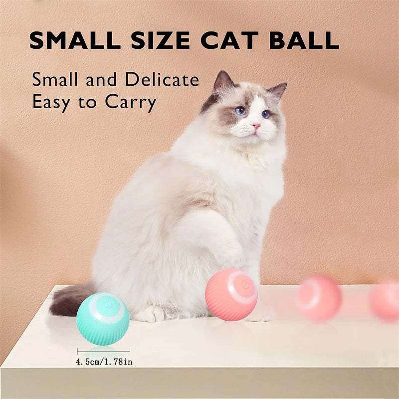 Smart Bouncing Pet Ball – USB Rechargeable Interactive Toy