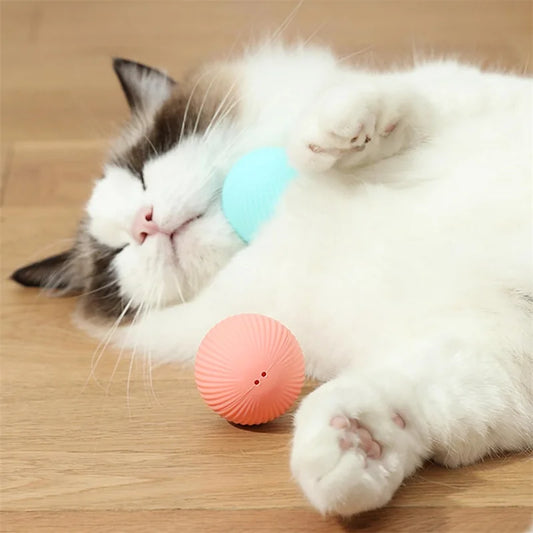 Smart Bouncing Pet Ball – USB Rechargeable Interactive Toy