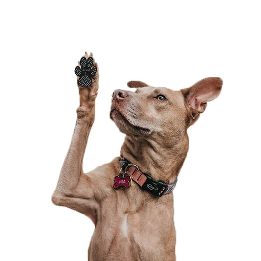 Anti-Skid Paw Pads for Dogs – Extra Grip, Injury Relief & Floor Safety