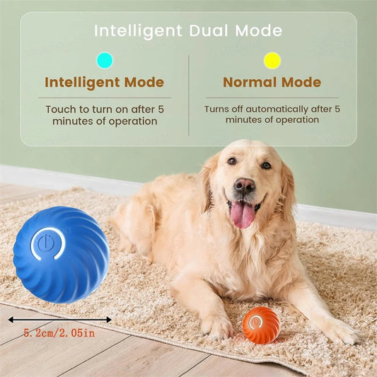 Smart Bouncing Pet Ball – USB Rechargeable Interactive Toy