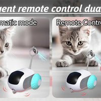 Smart Rolling Cat Toy Car – Remote-Controlled Indoor Fun