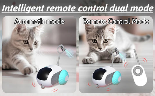 Smart Rolling Cat Toy Car – Remote-Controlled Indoor Fun