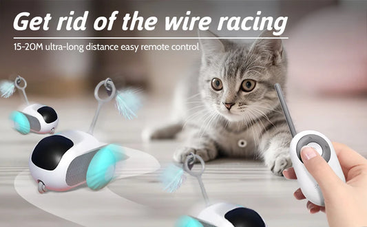 Smart Rolling Cat Toy Car – Remote-Controlled Indoor Fun