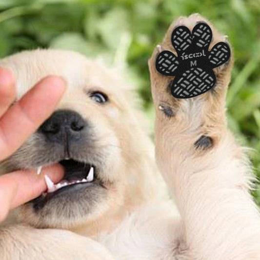 Anti-Skid Paw Pads for Dogs – Extra Grip, Injury Relief & Floor Safety