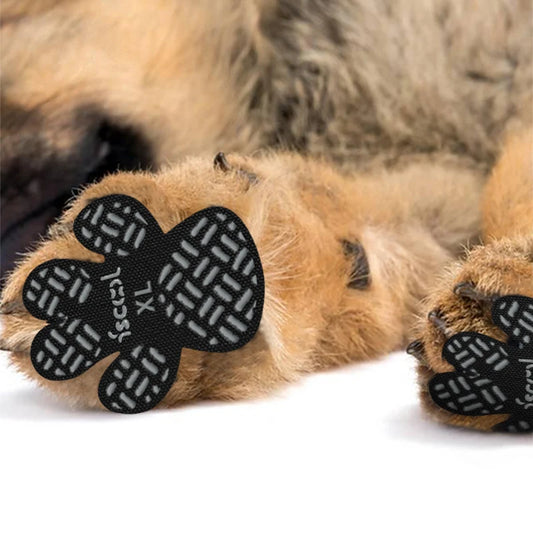 Anti-Skid Paw Pads for Dogs – Extra Grip, Injury Relief & Floor Safety