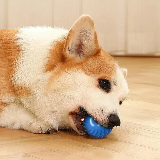Smart Bouncing Pet Ball – USB Rechargeable Interactive Toy