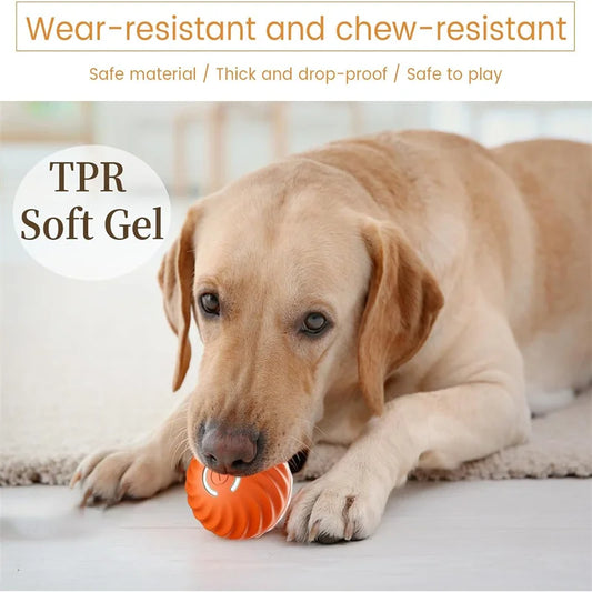 Smart Bouncing Pet Ball – USB Rechargeable Interactive Toy