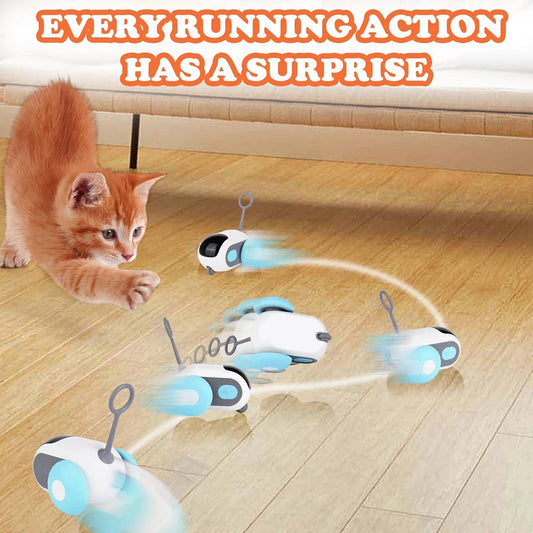 Smart Rolling Cat Toy Car – Remote-Controlled Indoor Fun