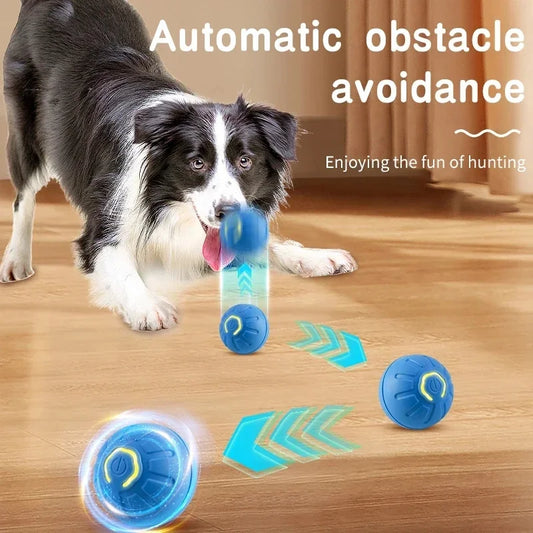 Smart Bouncing Pet Ball – USB Rechargeable Interactive Toy