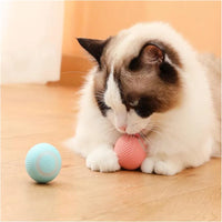 Smart Bouncing Pet Ball – USB Rechargeable Interactive Toy