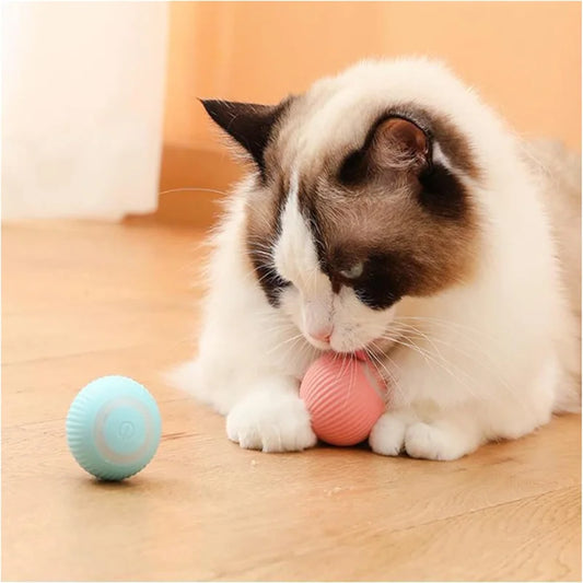 Smart Bouncing Pet Ball – USB Rechargeable Interactive Toy
