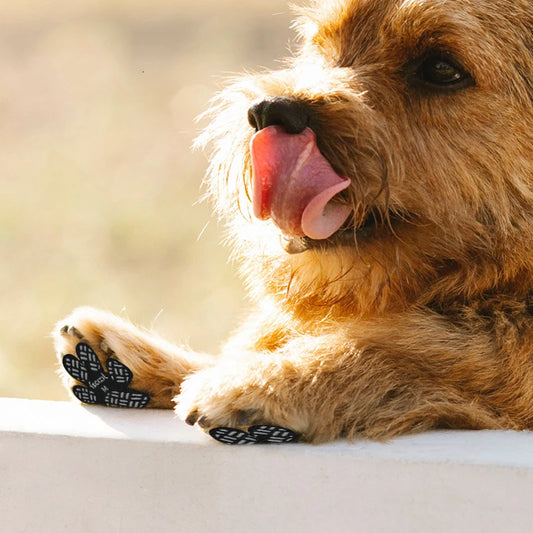 Anti-Skid Paw Pads for Dogs – Extra Grip, Injury Relief & Floor Safety