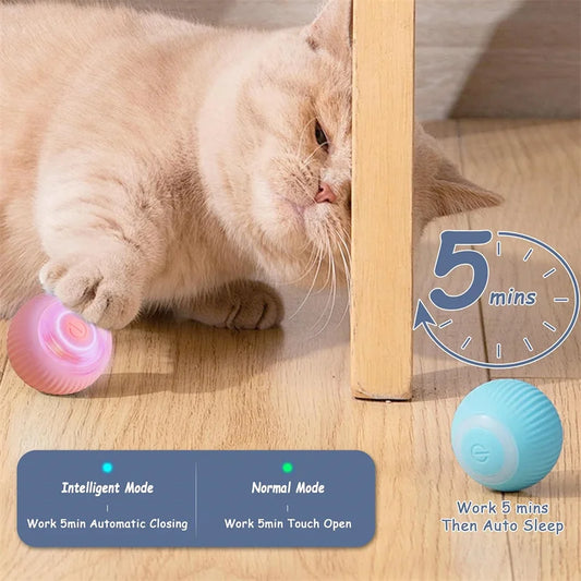 Smart Bouncing Pet Ball – USB Rechargeable Interactive Toy