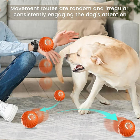 Smart Bouncing Pet Ball – USB Rechargeable Interactive Toy