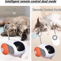 Smart Rolling Cat Toy Car – Remote-Controlled Indoor Fun